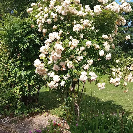 2 Personnes, Proche 沙朗