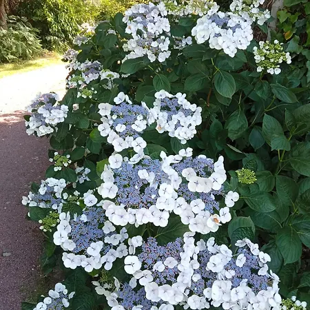 度假居 2 Personnes, Proche *