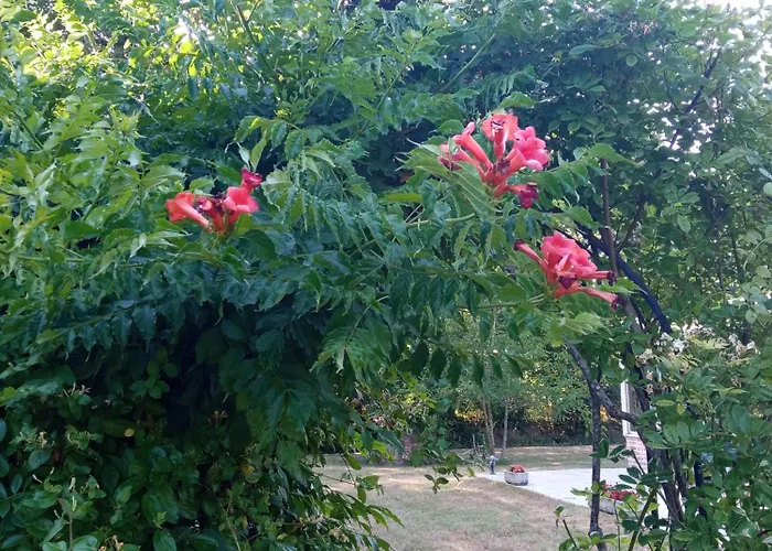 2 Personnes, Proche Hébergement de vacances Challans