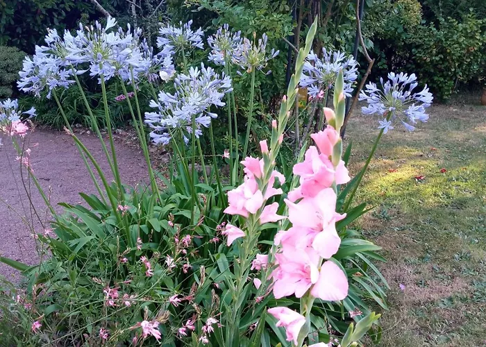 Hébergement de vacances 2 Personnes, Proche *