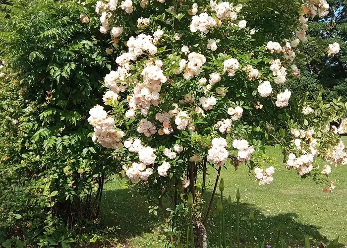 2 Personnes, Proche Challans