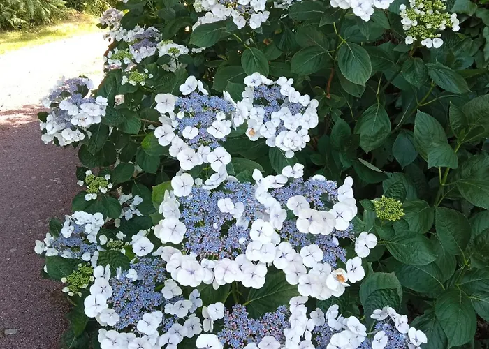 Hébergement de vacances 2 Personnes, Proche *